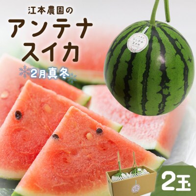 【期間限定】江本農園の2月真冬アンテナスイカ2玉 em-0021