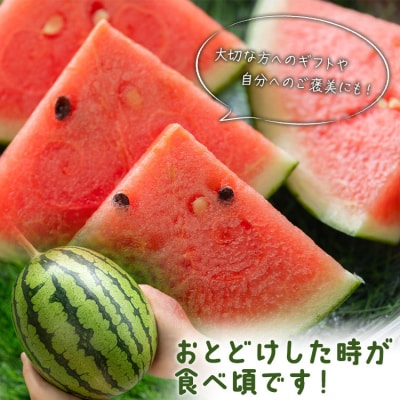 【期間限定】江本農園の2月真冬アンテナスイカ2玉 em-0021