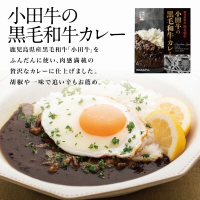 【訳あり】鹿児島県産黒毛和牛「小田牛」 黒毛和牛カレー 5食(200g×5) レトルト 常温保存