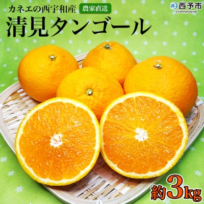 <�J�l�G�̐��F�a�Y�@�����^���S�[�� 3kg>�@���k�@���\�@�O�r�@�_�ƒ����@�t���[�c�@��������