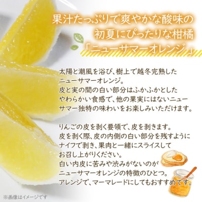 <カネエの西宇和産　越冬完熟ニューサマーオレンジ 3kg>　柑橘　フルーツ　果物　西予　家庭用