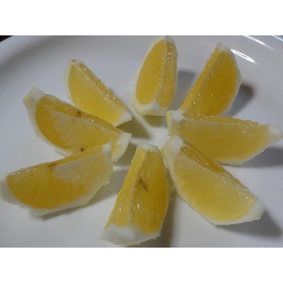 <カネエの西宇和産　越冬完熟ニューサマーオレンジ 3kg>　柑橘　フルーツ　果物　西予　家庭用