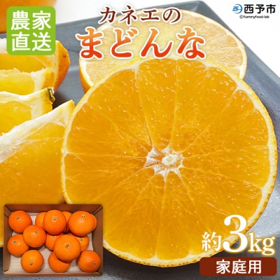 いのうえ農園直送マドンナ　3kg(家庭用)数量限定