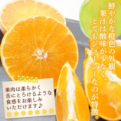 いのうえ農園直送マドンナ　3kg(家庭用)数量限定