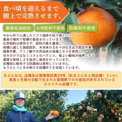 いのうえ農園直送マドンナ　3kg(家庭用)数量限定