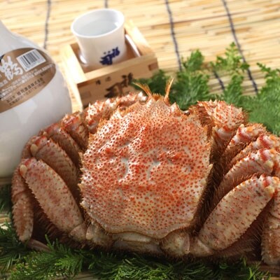 ���H���i�u�߁v�{����900ml�Ɩт���400g�̃Z�b�g �ӂ邳�Ɣ[�� �� ���� F4F-5348