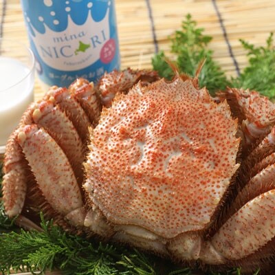 ���H���i ���L���[�����[�O���g�̂��� �݂ȃj�R���Ɩт��ɂ�400g�Z�b�g �� ���� F4F-5343