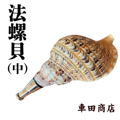 法螺貝(中)《車田商店》