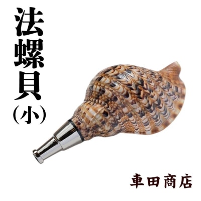 法螺貝(小)《車田商店》