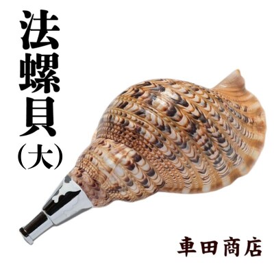 法螺貝(大)《車田商店》