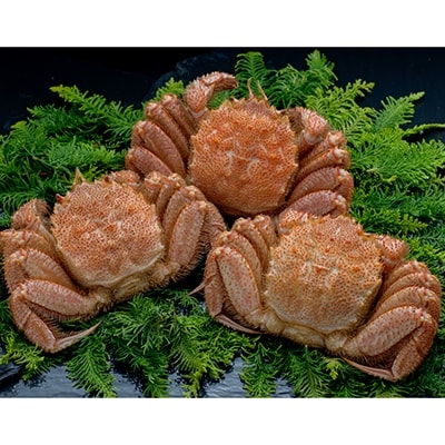 �k�C���Y �{�C���ъI 3�� 1.0kg �ӂ邳�Ɣ[�� ���� �I F4F-5332