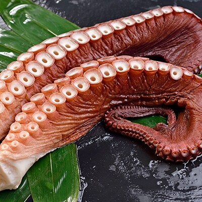 �����(�h�g�p) 3�{ �ӂ邳�Ɣ[�� ������ �^�R F4F-1725