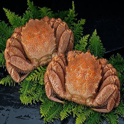 �k�C���Y�{�C���т��� 2�� 1.0kg �ӂ邳�Ɣ[�� �I F4F-0691