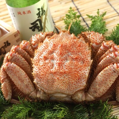 ���i�k�C���Y�ď��Ď��Ɩт���400g�̃Z�b�g �ӂ邳�Ɣ[�� ���� �I �� F4F-5345