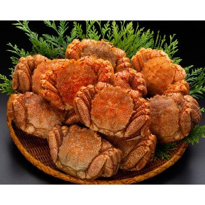 �k�C���Y�E�{�C���т���10���Z�b�g(4.5kg�O��) �ӂ邳�Ɣ[�� ���� �I F4F-0460