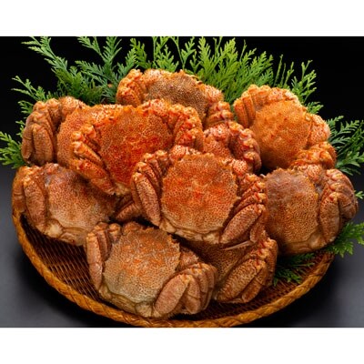 �k�C���Y�E�{�C���т���10���Z�b�g(7.0kg�O��) �ӂ邳�Ɣ[�� ���� �I F4F-0461