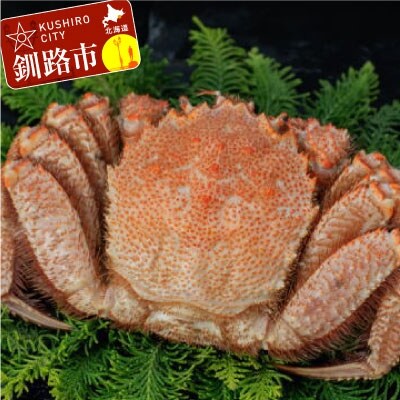 �k�C���Y�E�{�C���ъI700�`800g×1�� �ӂ邳�Ɣ[�� ���� �I F4F-5467