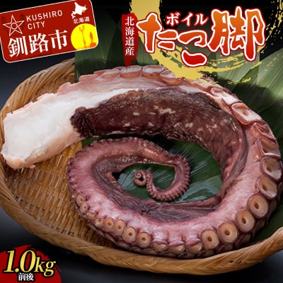 �k�C���Y�E�{�C�������r (�^����)�@1kg�O�� ���� �h�g �����Ă� �J���p�b�`�� F4F-2245