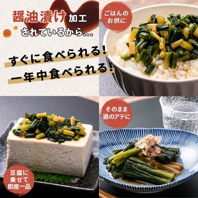 行者にんにく醤油漬120g 3袋セット 北海道 山菜 ヒトビロ アイヌネギ