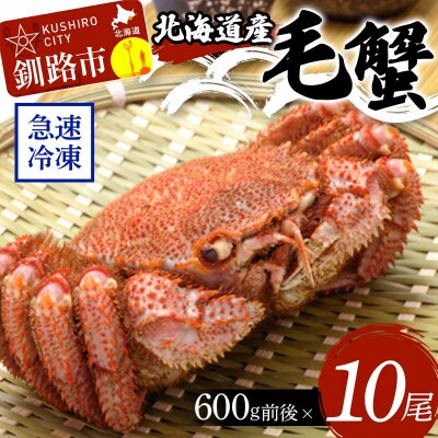 �k�C���Y�ъI600g�O��×10�� �k�C�� �J�j F4F-8649