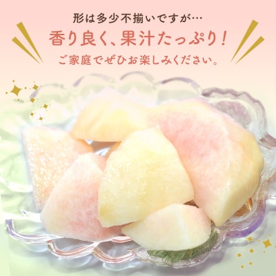 ご家庭用 おかやま の 桃 大玉 3玉(合計約900g)岡山県産 [No.5735-0686] 