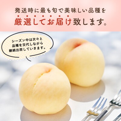 ご家庭用 おかやまの桃 約1.3kg (5～6玉)  岡山県産 [No.5735-0688]