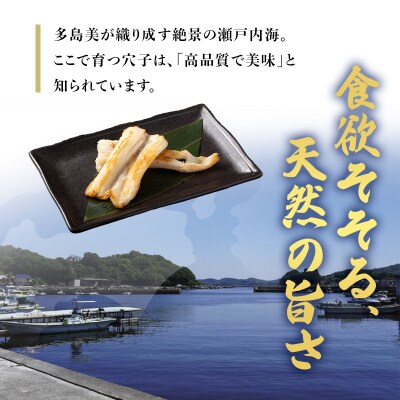 【先行受付】山銀商店 白焼き あなご (合計約300g)   [No.5735-0708]