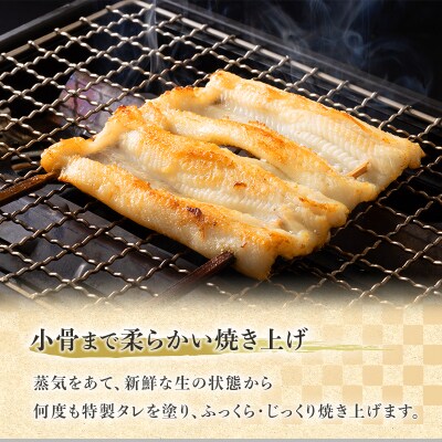 【先行受付】山銀商店 白焼き あなご (合計約300g)   [No.5735-0708]