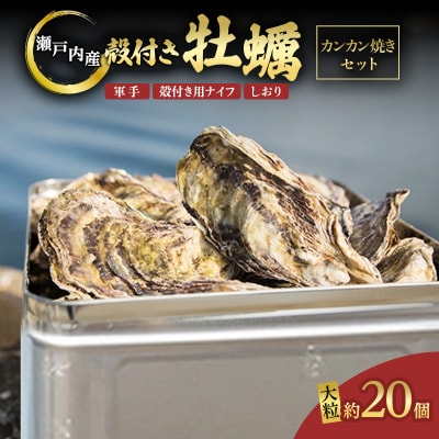 かんかん焼(殻付き大つぶ 牡蠣 20個) 山銀商店 瀬戸内海虫明湾産[No.5735-0840]