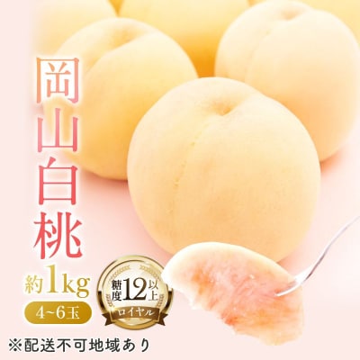 岡山 白桃 ロイヤル 4～6玉 約1kg (早生種・中生種) [No.5735-1222]