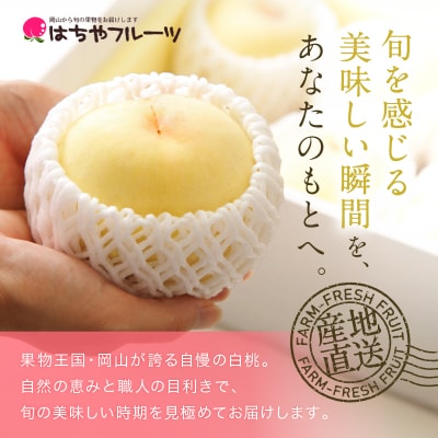岡山 白桃 ロイヤル 4～6玉 約1kg (早生種・中生種) [No.5735-1222]