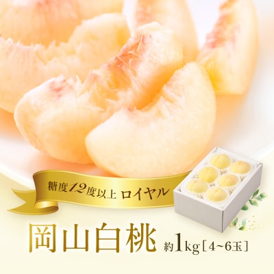 岡山 白桃 ロイヤル 4～6玉 約1kg (早生種・中生種) [No.5735-1222]