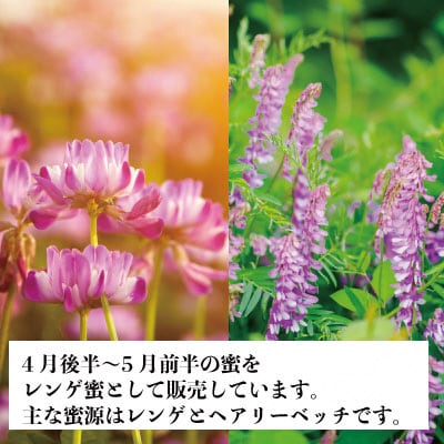 瀬戸内市産 レンゲはちみつ×1本と百花はちみつ×1本のセット 石黒農園[No.5735-1639]