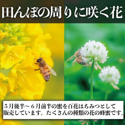 瀬戸内市産 レンゲはちみつ×1本と百花はちみつ×1本のセット 石黒農園[No.5735-1639]