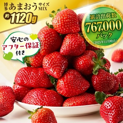 アフター保証 「博多あまおう」約280g×4パック【JAほたるの里】_HA0433