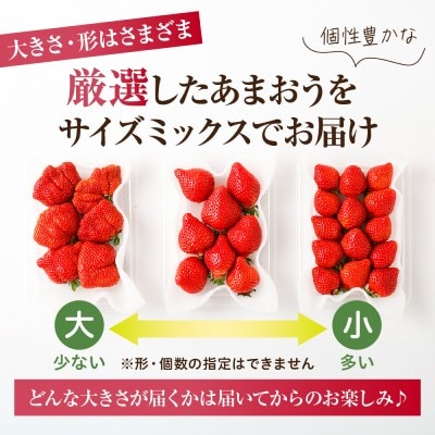 アフター保証 「博多あまおう」約280g×4パック【JAほたるの里】_HA0433