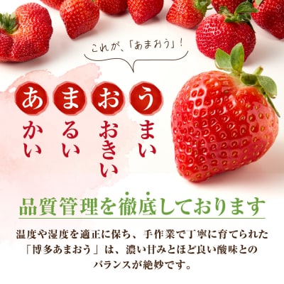 【数量限定】1月3日～5日発送 博多あまおう約280g×4パック【JAほたるの里】_HA0662