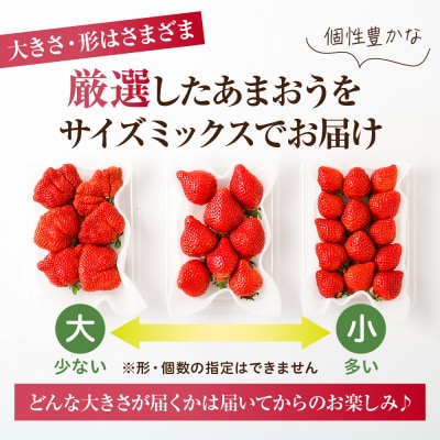 【アフター保証】 JAよりお届け!「博多あまおう」約280g×2パック_HA1937
