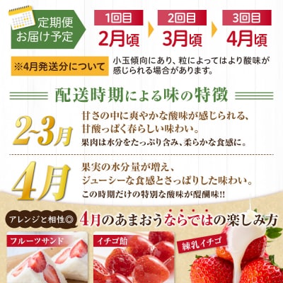 【3回毎月お届け】アフター保証 博多あまおう 約280g×2P【ほたるの里】_HB0075