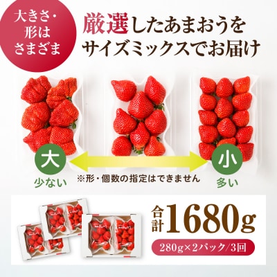 【3回毎月お届け】アフター保証 博多あまおう 約280g×2P【ほたるの里】_HB0075