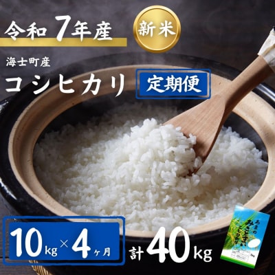 【定期便4ヵ月】計40kg!コシヒカリ 10kg×4か月定期便 