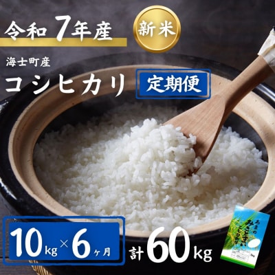 【定期便6ヵ月】計60kg!コシヒカリ 10kg×6か月定期便
