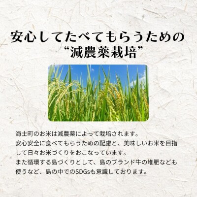 【定期便6ヵ月】計60kg!コシヒカリ 10kg×6か月定期便