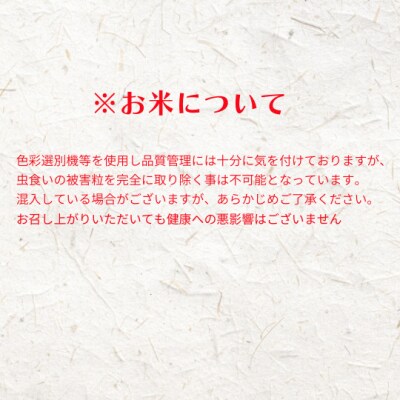 【定期便6ヵ月】計60kg!コシヒカリ 10kg×6か月定期便