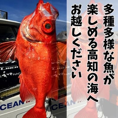 遊漁船ニシムライナー貸切りチケット　113013