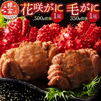 花咲がに1尾、毛がに1尾セット A-54004