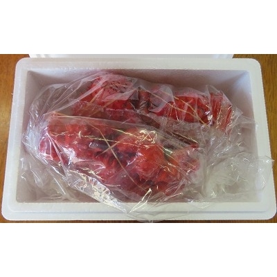 【北海道根室産】花咲ガニ2尾(計800g以上) B-59010