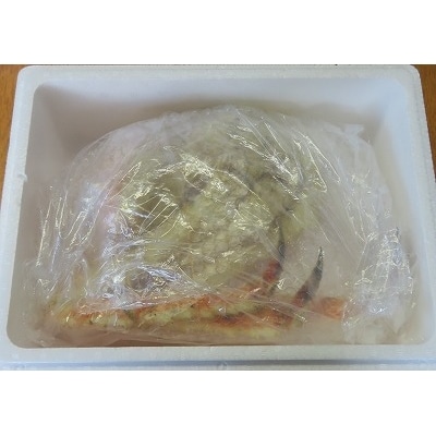 【北海道根室産】ボイル冷凍たらばがに脚1肩 F-59001