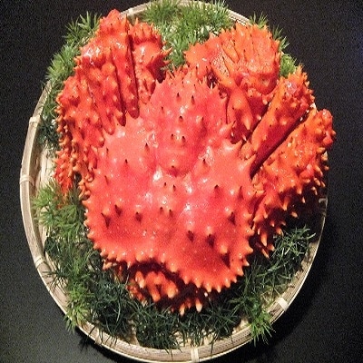 【北海道根室産】浜ゆで花咲がに1kg前後×1尾 B-21001