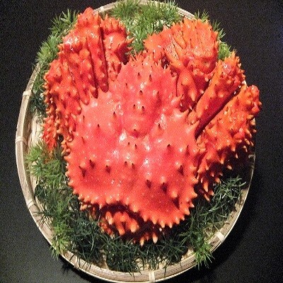 【北海道根室産】浜ゆで花咲がに1kg前後×1尾 B-21001